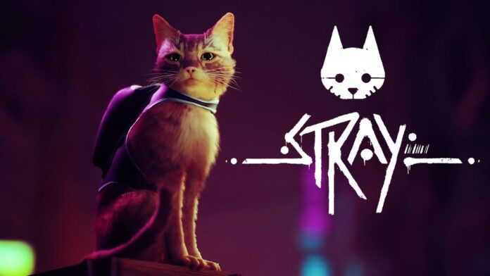 Stray: how to get all the pins