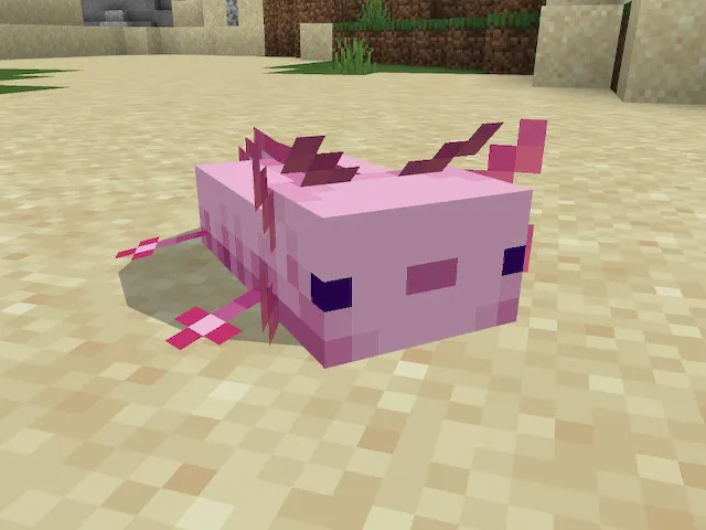 HOW TO TAME AN AXOLOTL IN MINECRAFT