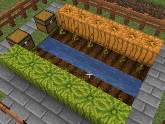 HOW TO GROW WATERMELONS AND PUMPKINS IN MINECRAFT