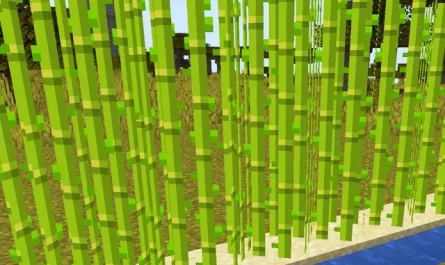 HOW TO GROW SUGAR CANE IN MINECRAFT