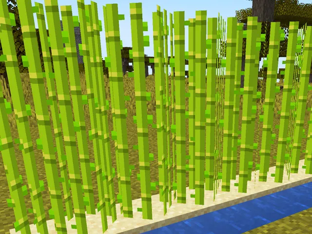 HOW TO GROW SUGAR CANE IN MINECRAFT