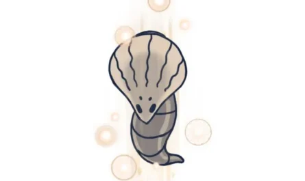 GUIDE TO GORB IN HOLLOW KNIGHT