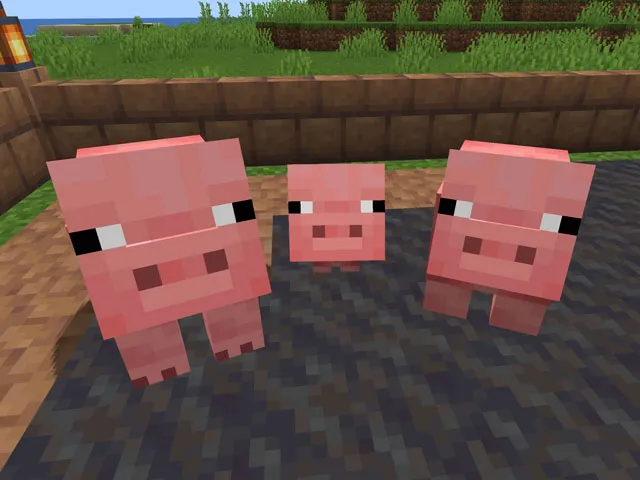 PIG IN MINECRAFT: DOMESTICATION, WHAT IT EATS AND BREEDING
