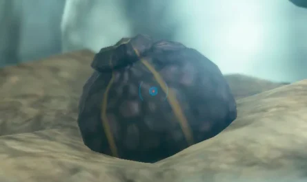 LOCATION OF THE TRUFFLE AND TRUFFLE IN TEARS OF THE KINGDOM