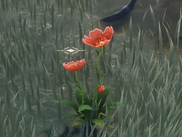 LOCATION OF THE BEAUTIFUL POPPY IN WUTHERING WAVES